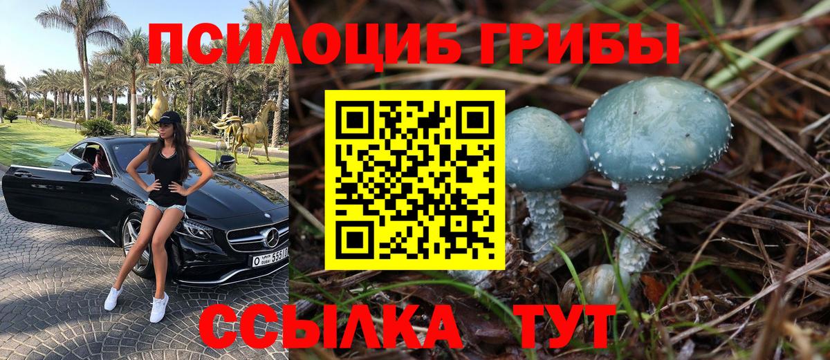 Псилоцибиновые грибы GOLDEN TEACHER Саратов