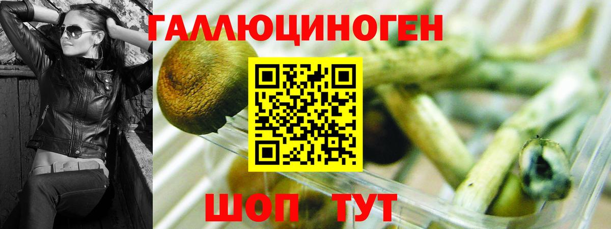 Саратов  Псилоцибиновые грибы MAGIC MUSHROOMS  Вход с VPN 